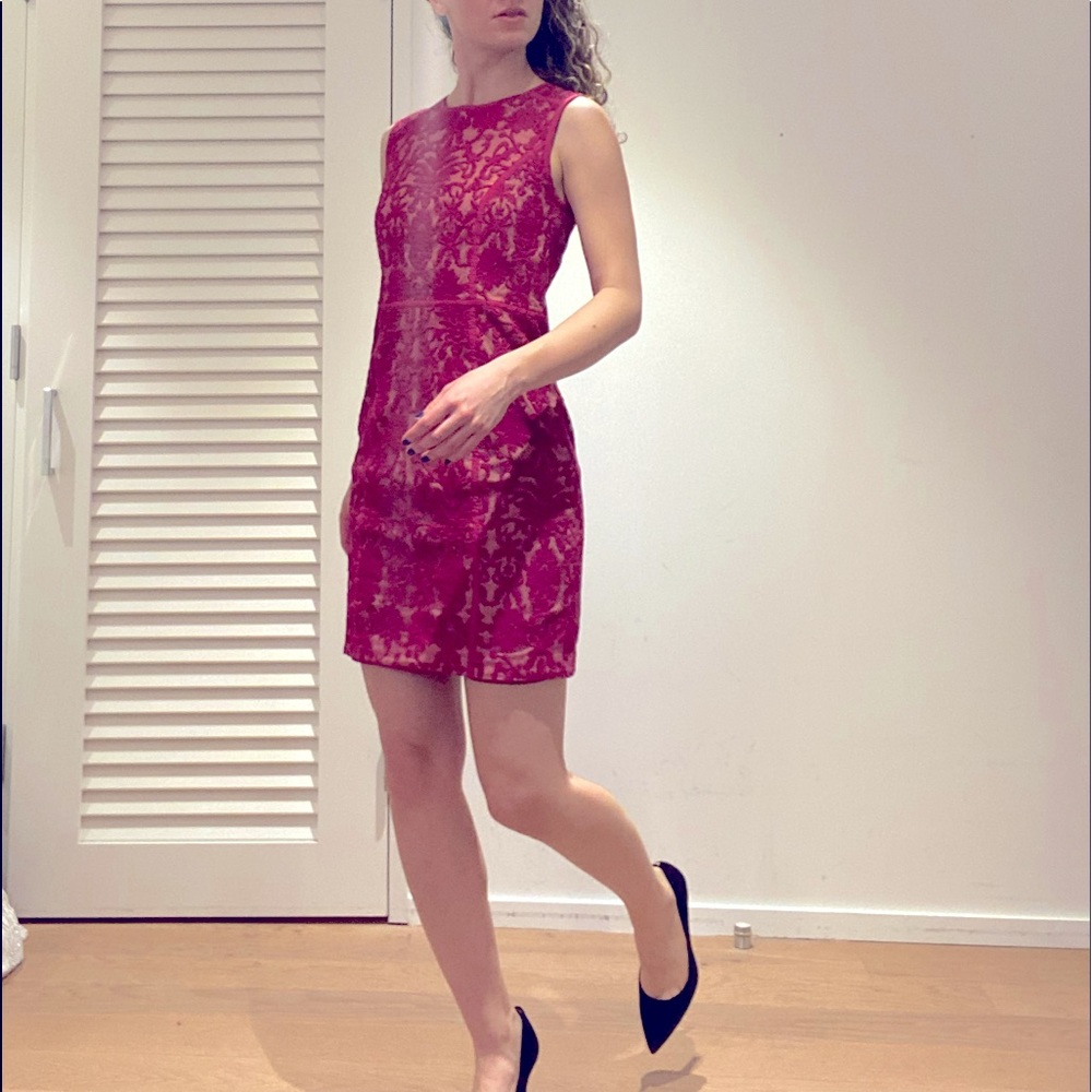 Cynthia Steffe Pink Lace Mini Dress